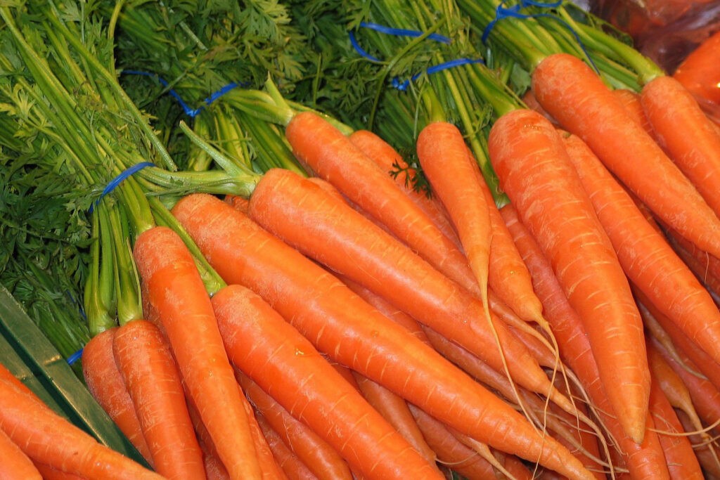 Karotten für Morosche Karottensuppe